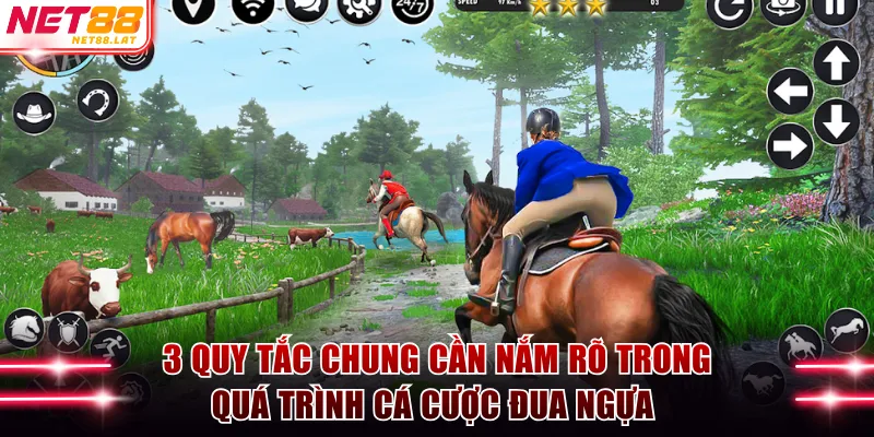 3 quy tắc chung cần nắm rõ trong quá trình cá cược đua ngựa 