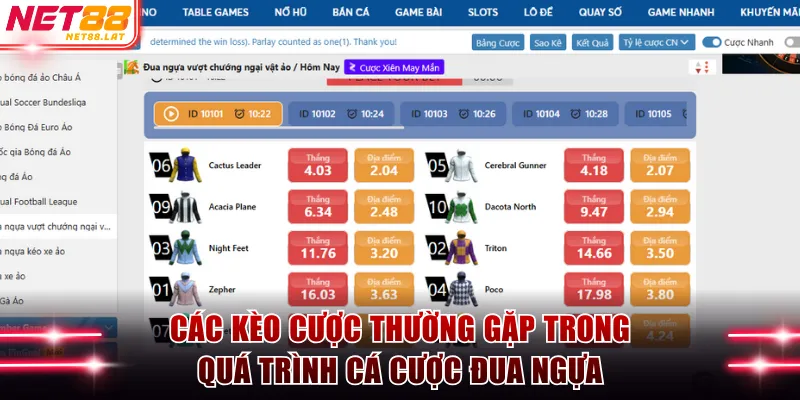 Các kèo cược thường gặp trong quá trình cá cược đua ngựa