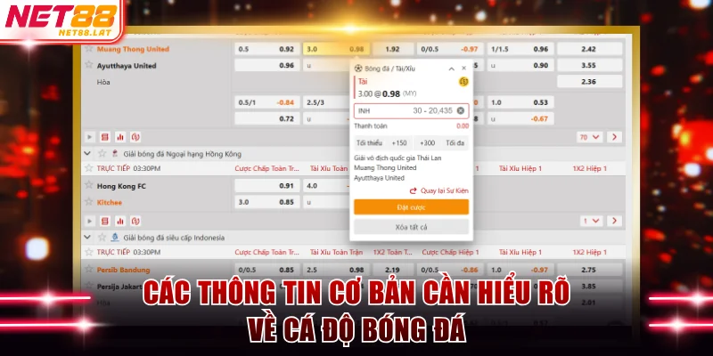 Các thông tin cơ bản cần hiểu rõ về cá độ bóng đá