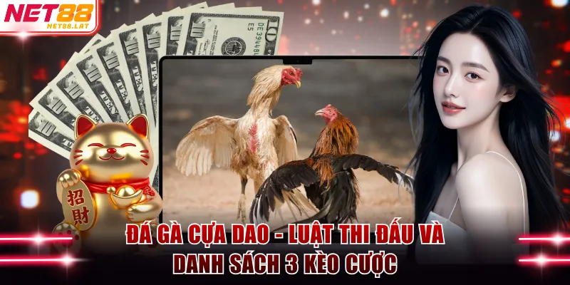 đá gà cựa dao