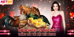 Đá gà cựa sắt
