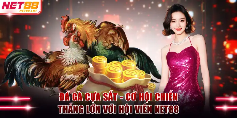 Đá gà cựa sắt