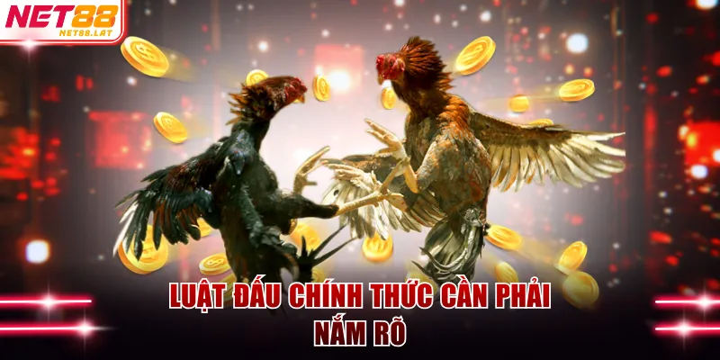 Luật đấu chính thức cần phải nắm rõ