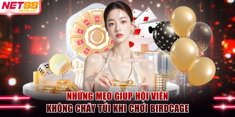 Những mẹo giúp hội viên không cháy túi khi chơi Birdcage