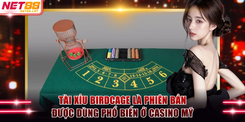 Tài Xỉu Birdcage là phiên bản được dùng phổ biến ở Casino Mỹ