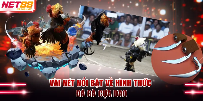 Vài nét nổi bật về đá gà cựa dao